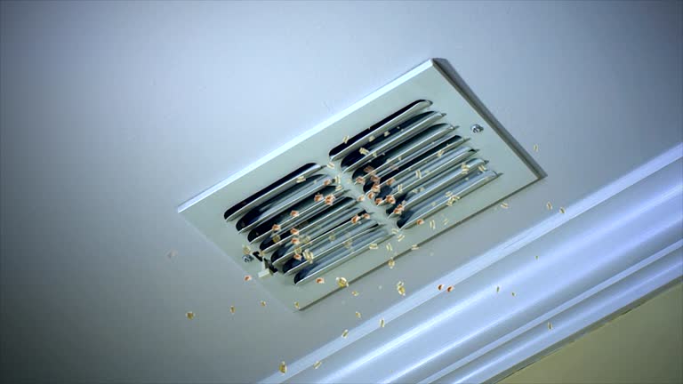 Best Air Duct Cleaning Near Me  in Pine Grove Mills, PA